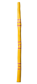 Larry Winiwini Gurruwiwi Yidaki (YI300)